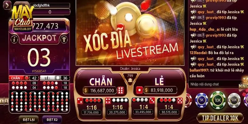Các thuật ngữ quan trọng